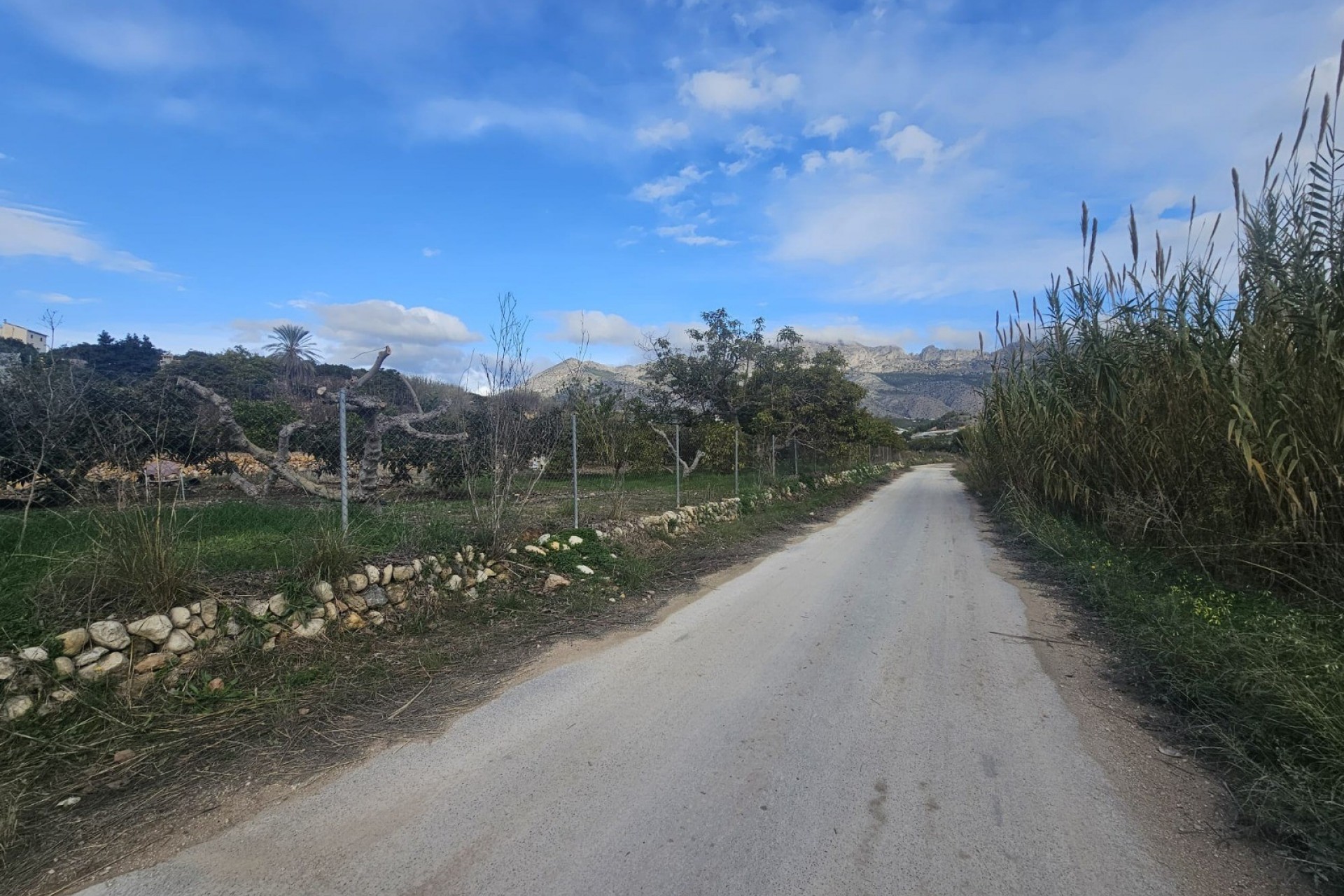 Resale - Rustic House -
Callosa De Ensarrià