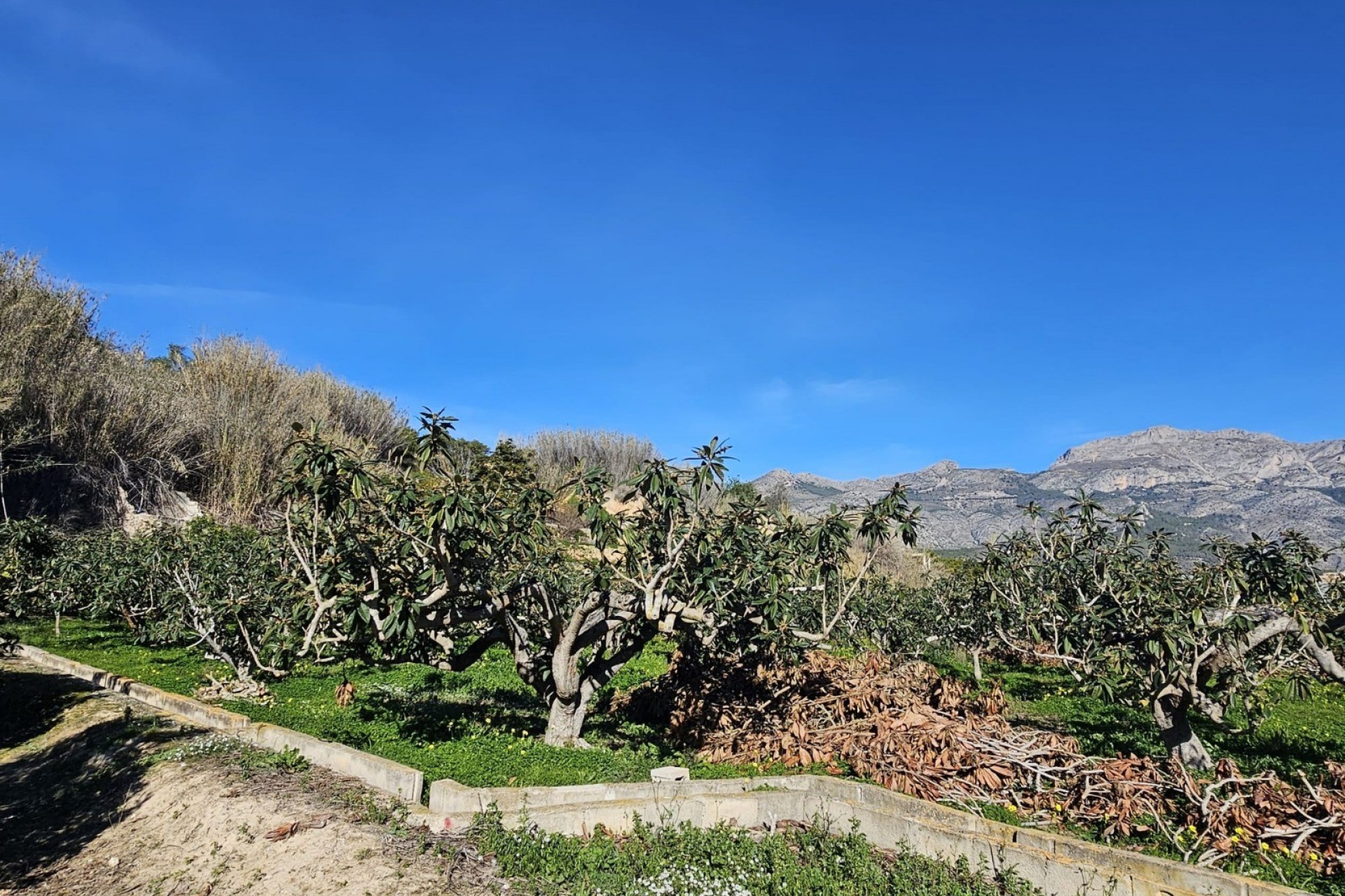 Resale - Rustic House -
Callosa De Ensarrià