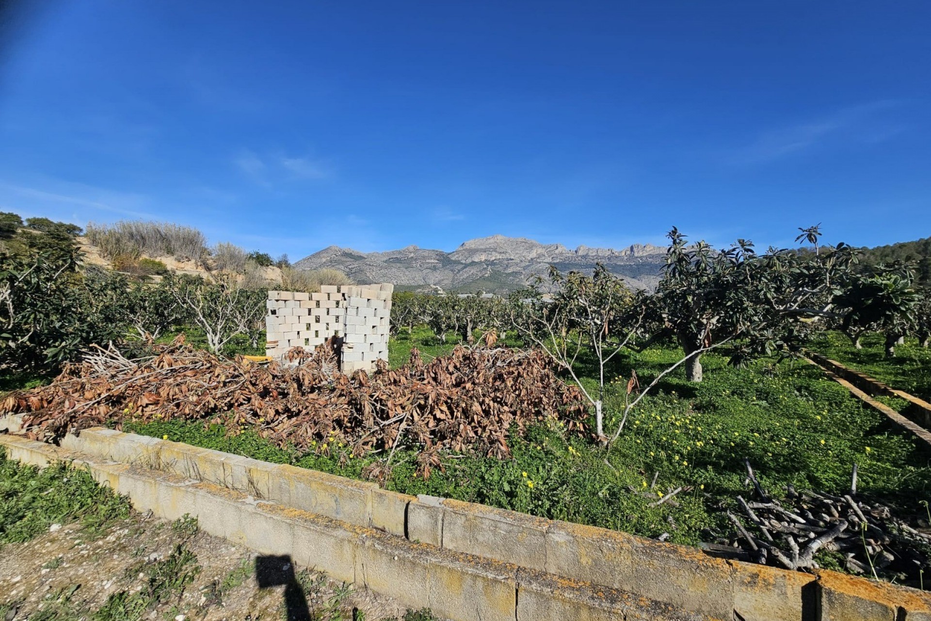 Resale - Rustic House -
Callosa De Ensarrià