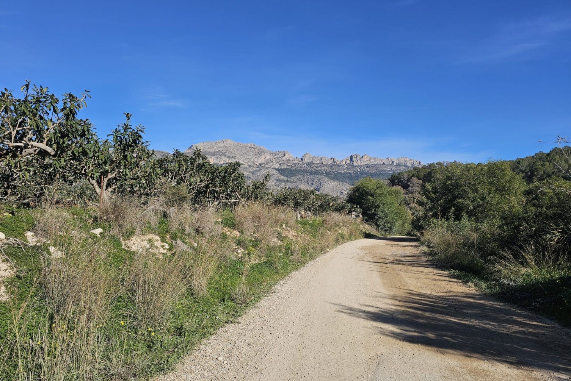 Resale - Rustic House -
Callosa De Ensarrià