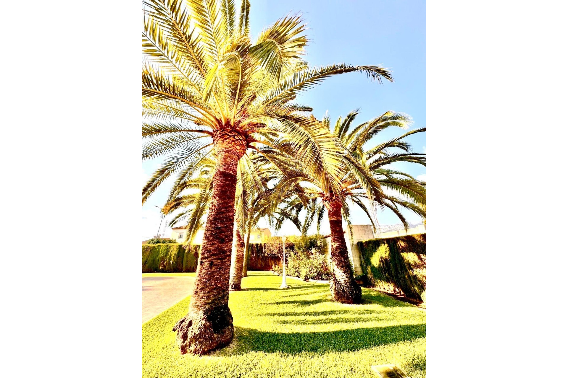 Resale - Town house -
Els Poblets