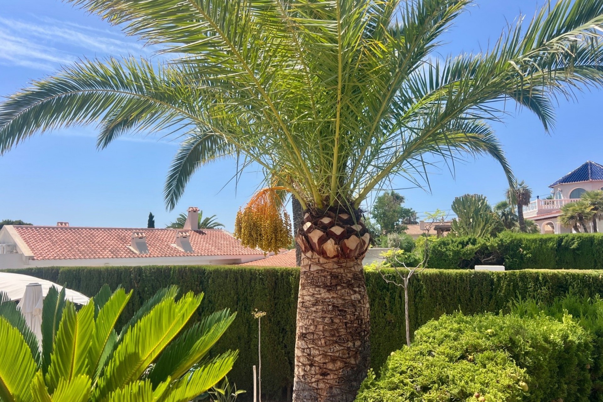 Resale - Villa -
Alfas del Pí
