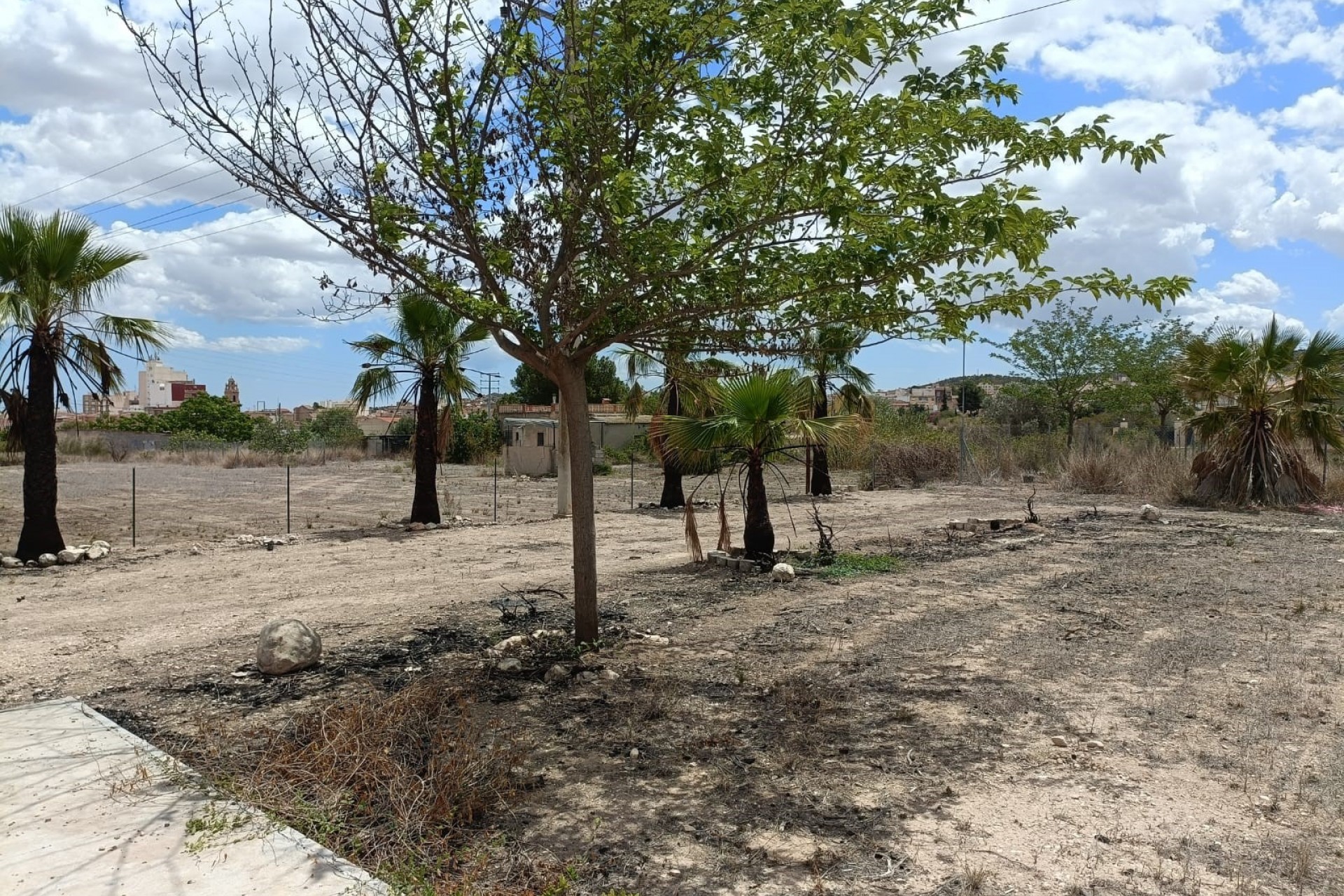 Resale - Villa -
Aspe