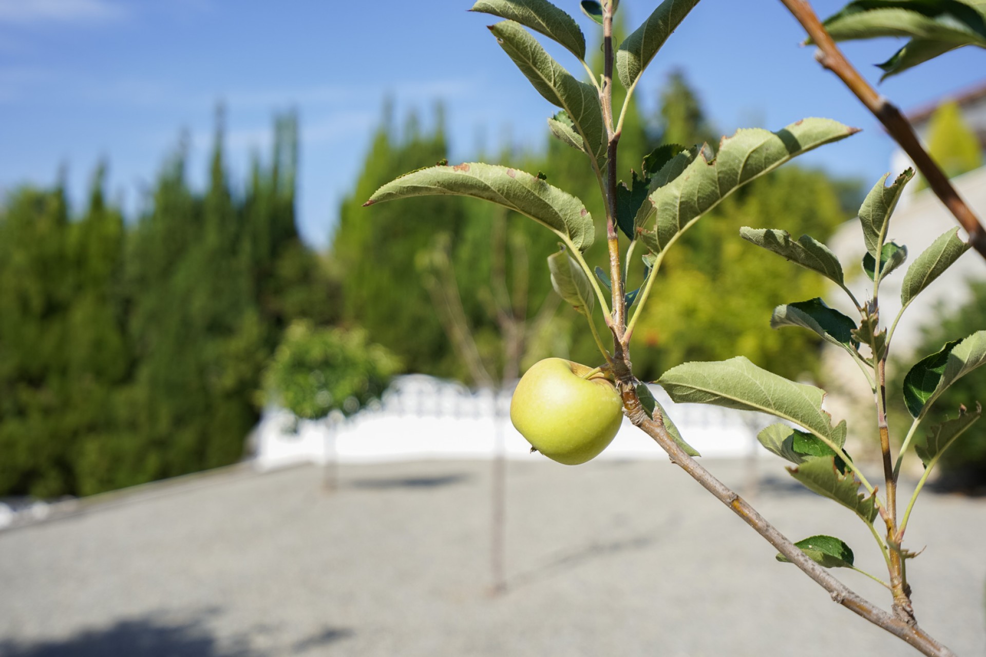 Resale - Villa -
Benissa - La Fustera