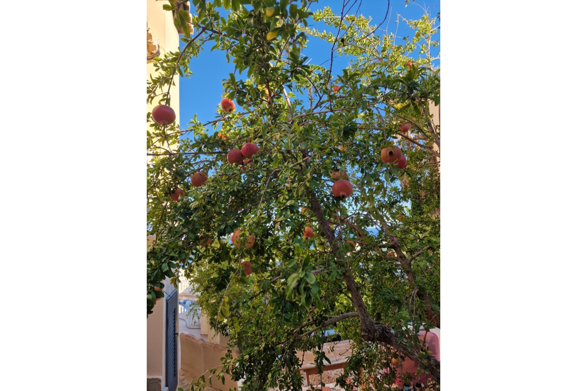 Resale - Villa -
Benitachell / El Poble Nou de Benitatxell - Cumbre del Sol