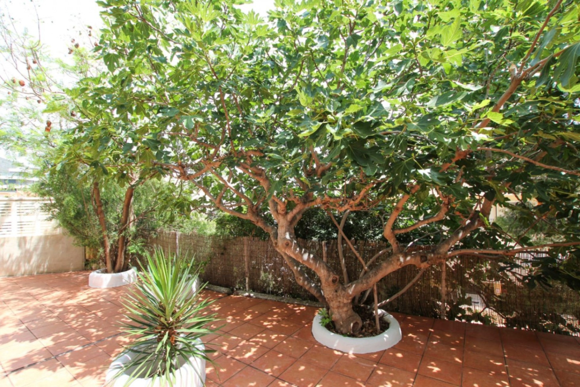 Resale - Villa -
Calpe - Manzanera