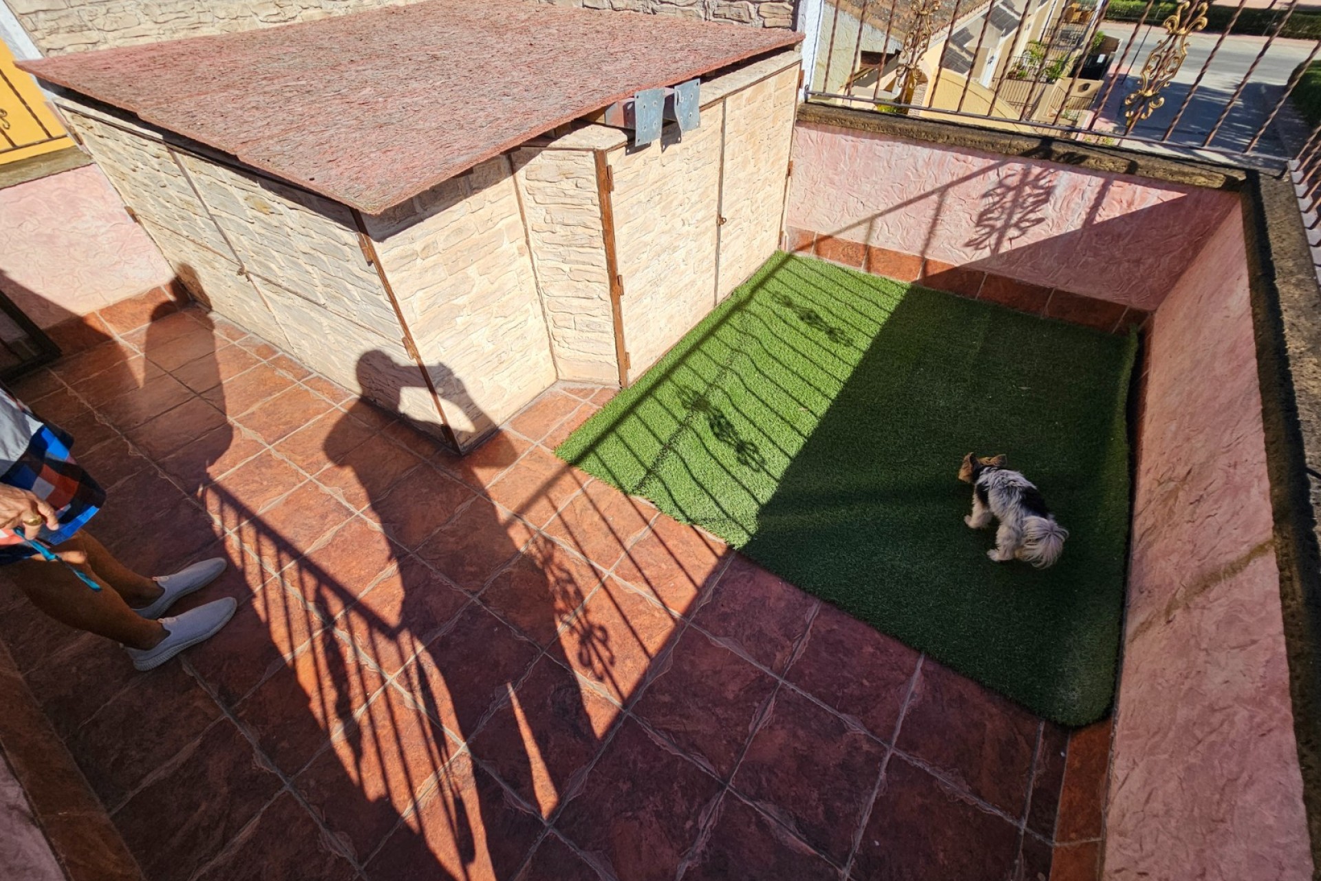 Resale - Villa -
Daya Nueva