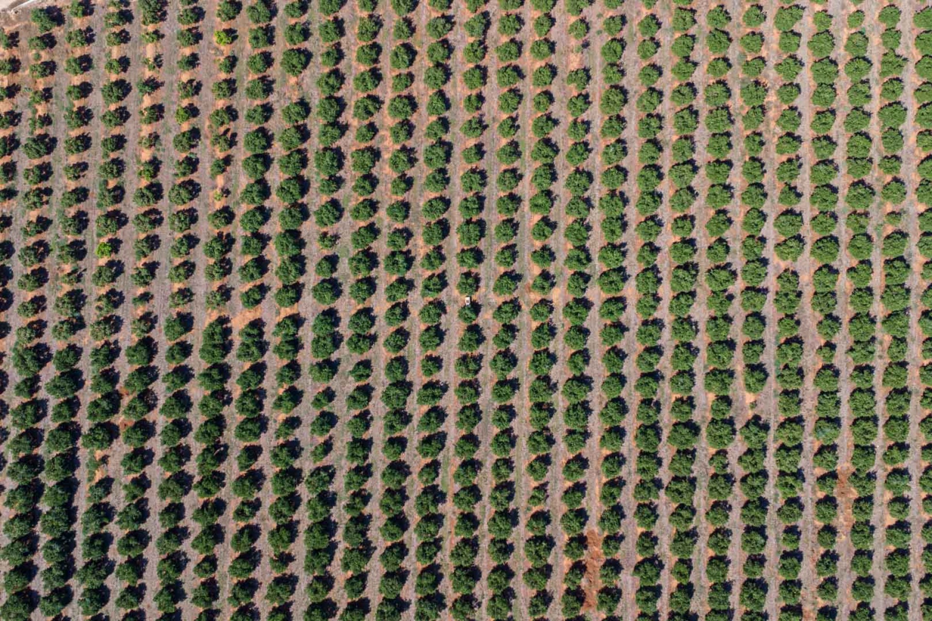 Resale - Villa -
Denia