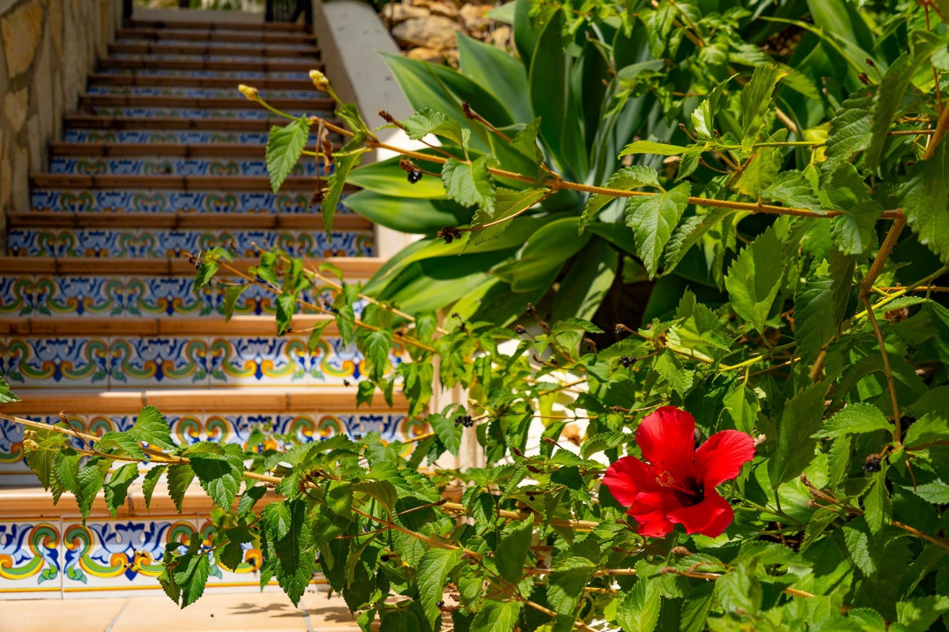 Resale - Villa -
Jalón - La Almazara