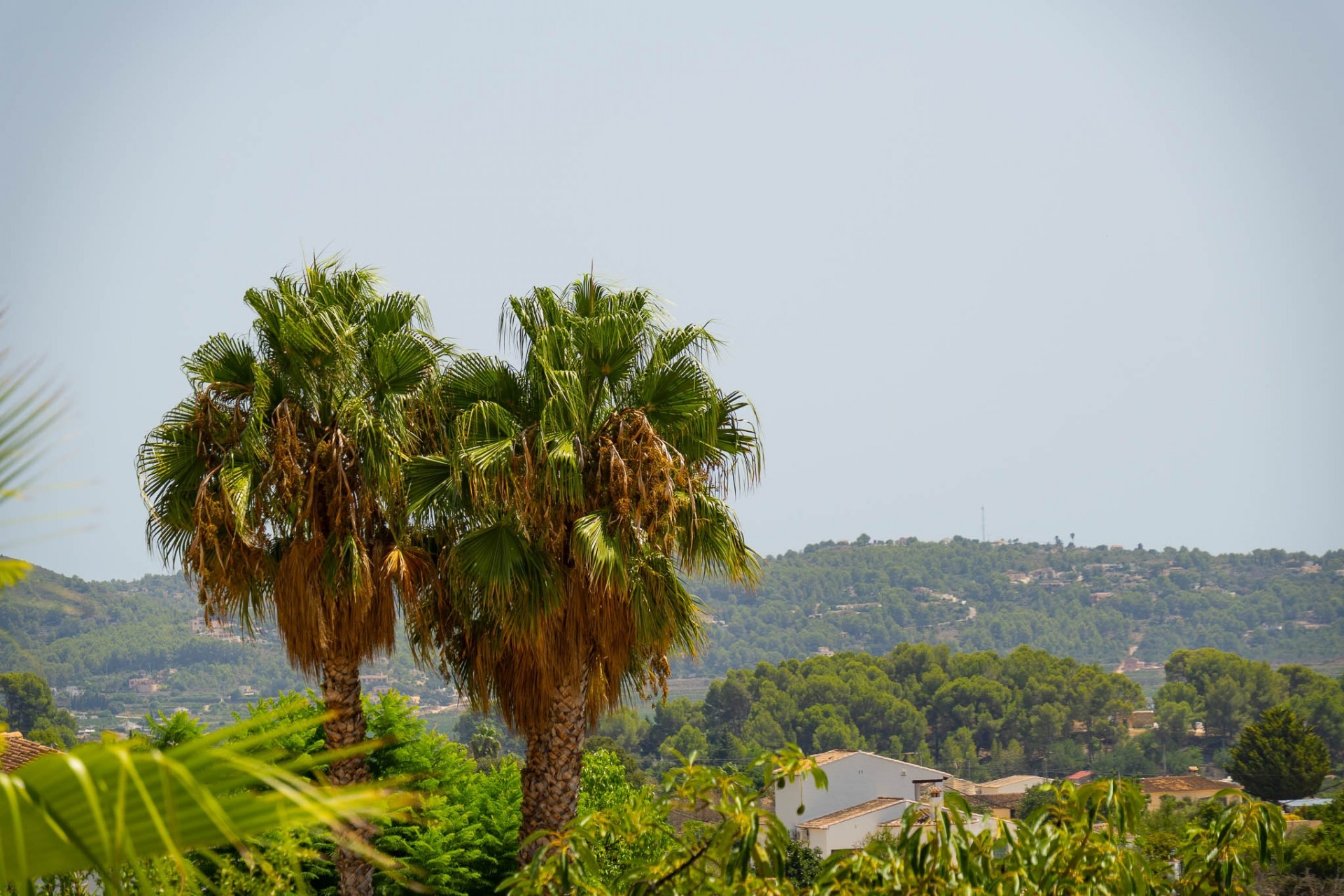 Resale - Villa -
Jalón - La Almazara