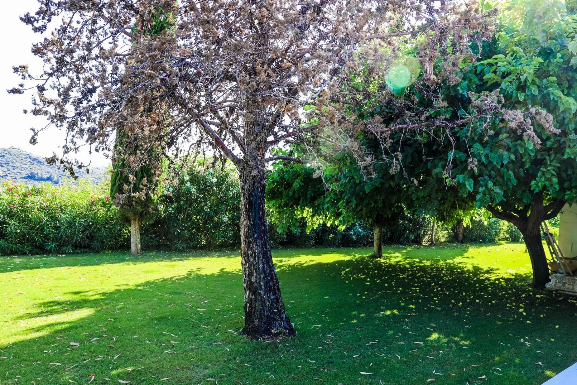 Resale - Villa -
Jávea - Jesús Pobre