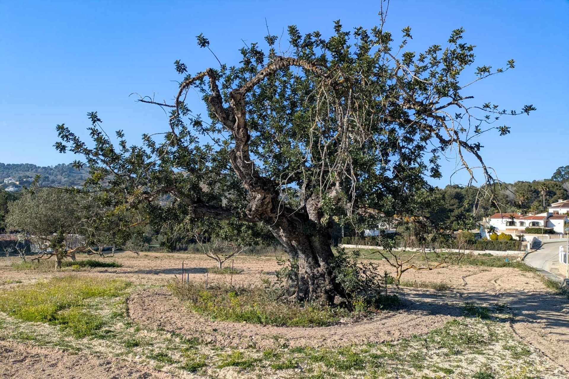 Resale - Villa -
Jávea - Las Laderas
