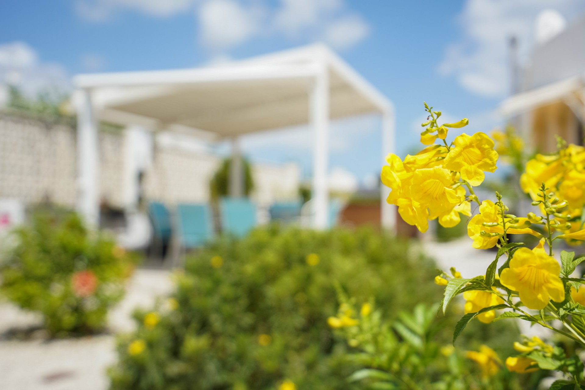 Resale - Villa -
Jávea - Pinosol