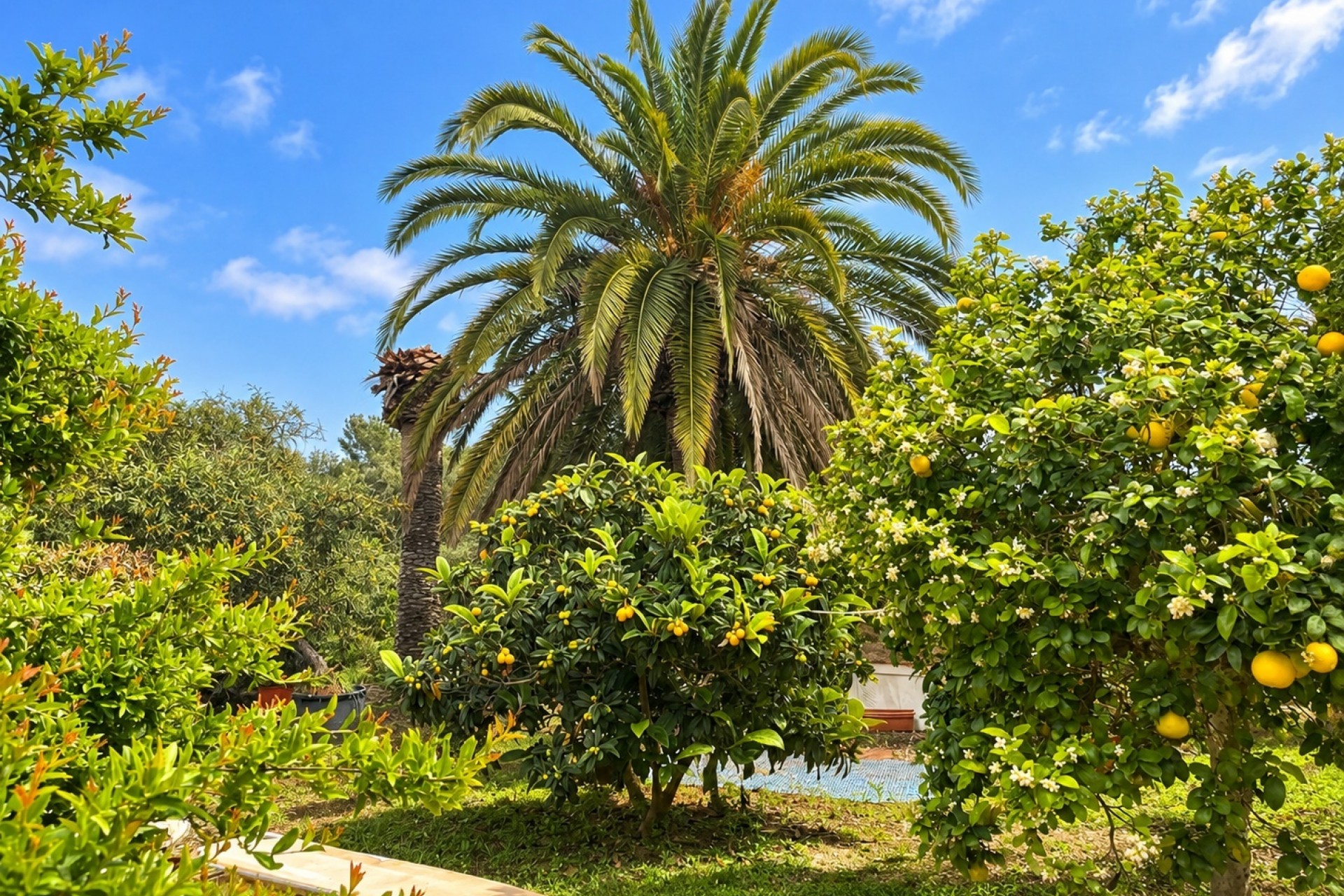 Resale - Villa -
Jávea / Xàbia - Cap Martí - El Tossalet - Pinomar