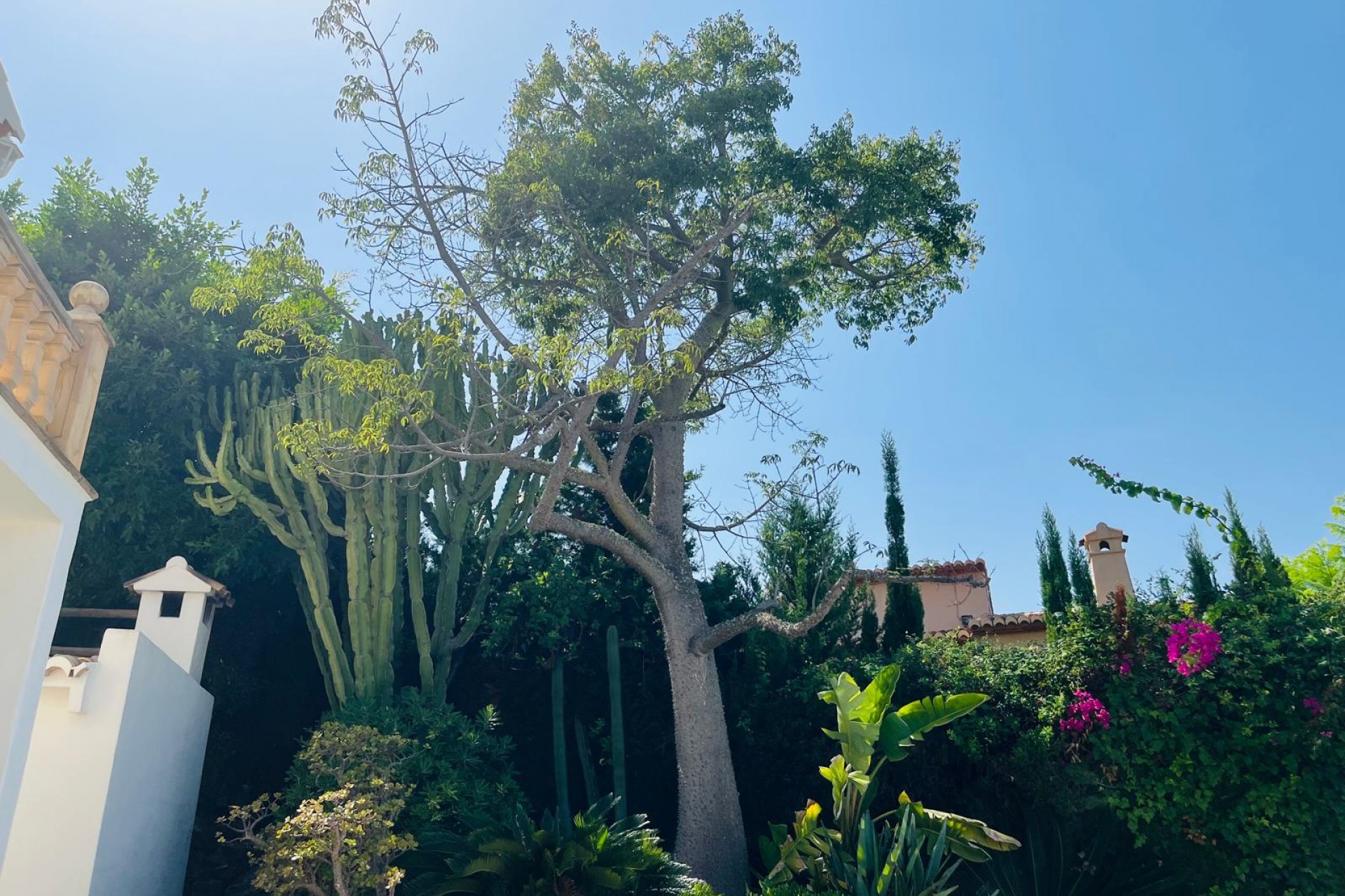 Resale - Villa -
Jávea / Xàbia - La Granadella  - Costa Nova