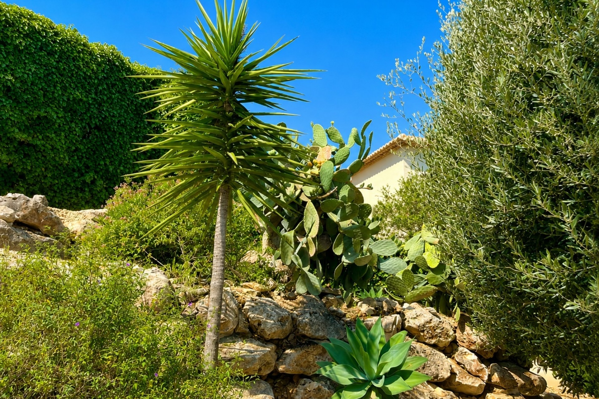 Resale - Villa -
Jávea / Xàbia - La Granadella  - Costa Nova