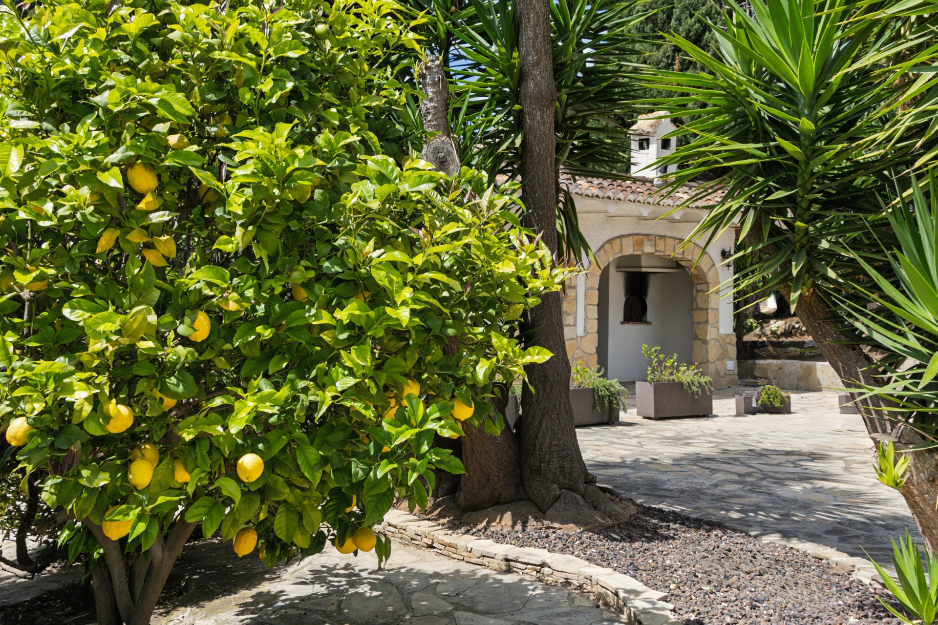 Resale - Villa -
Jávea / Xàbia - Montgó - Ermita