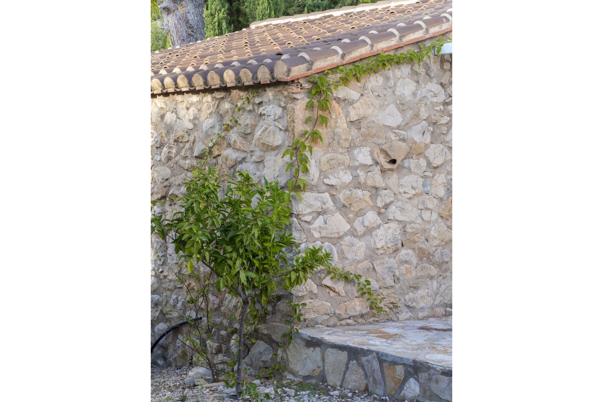 Resale - Villa -
Jávea / Xàbia - Montgó - Ermita