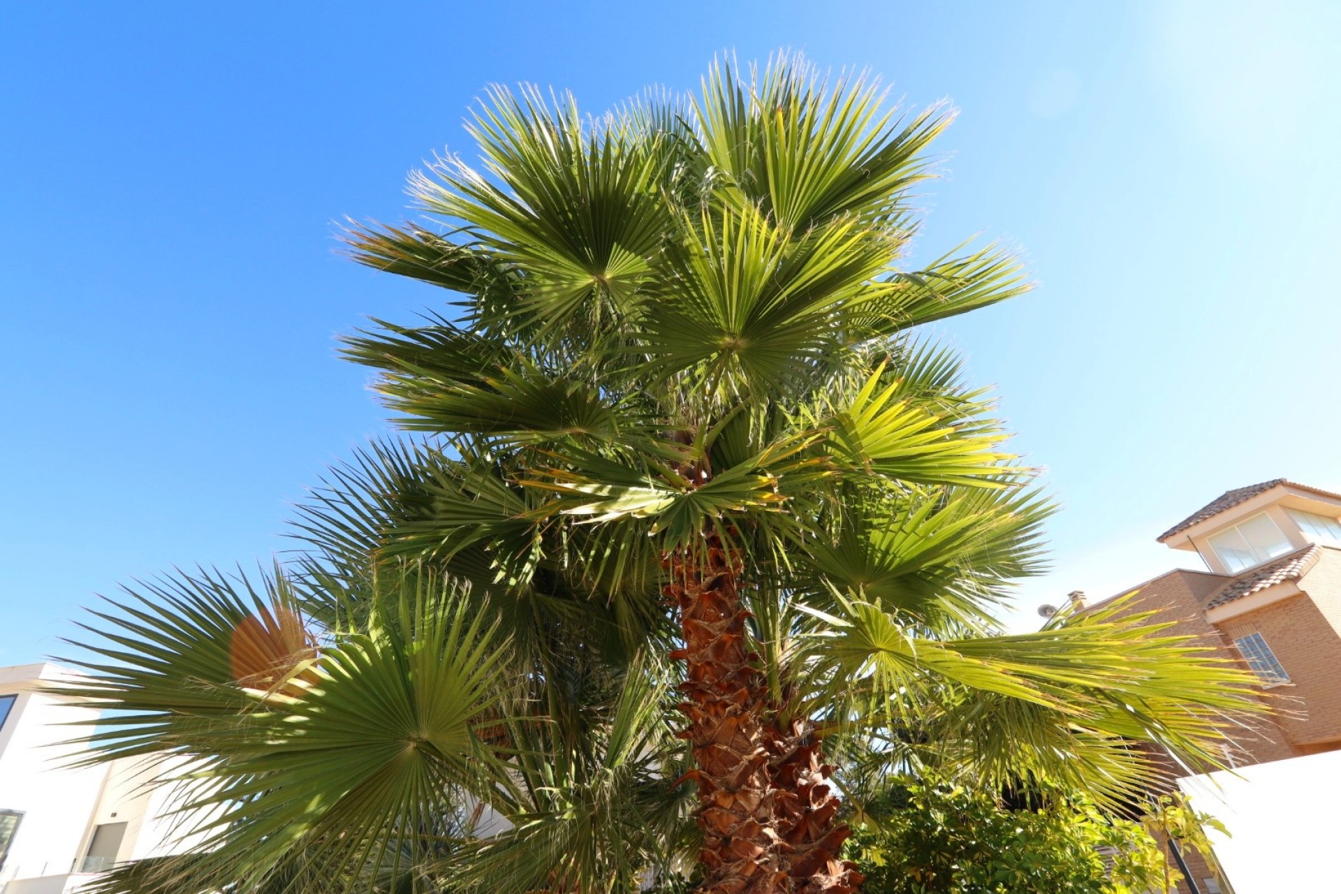 Resale - Villa -
La Nucía - Coloma