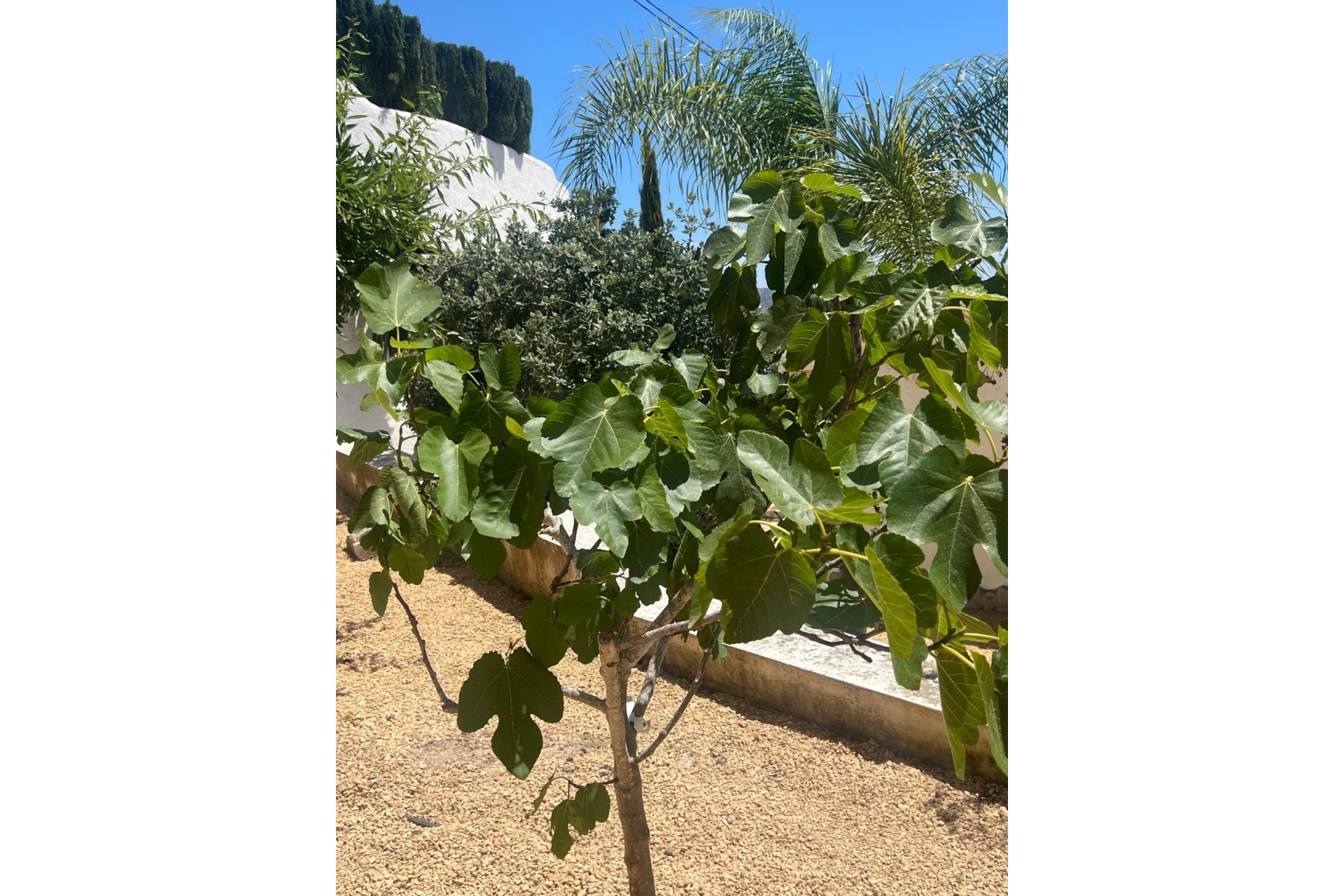 Resale - Villa -
Moraira - Pinar del Advocat - Cometa