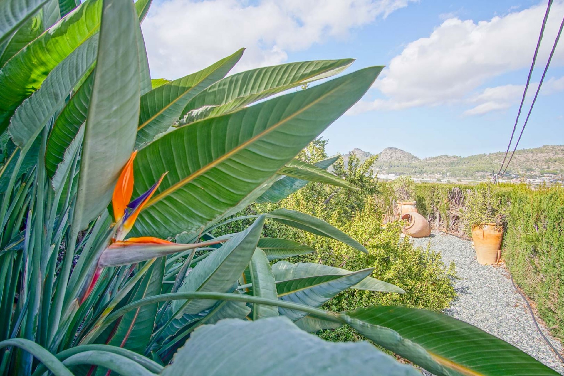 Resale - Villa -
Pedreguer