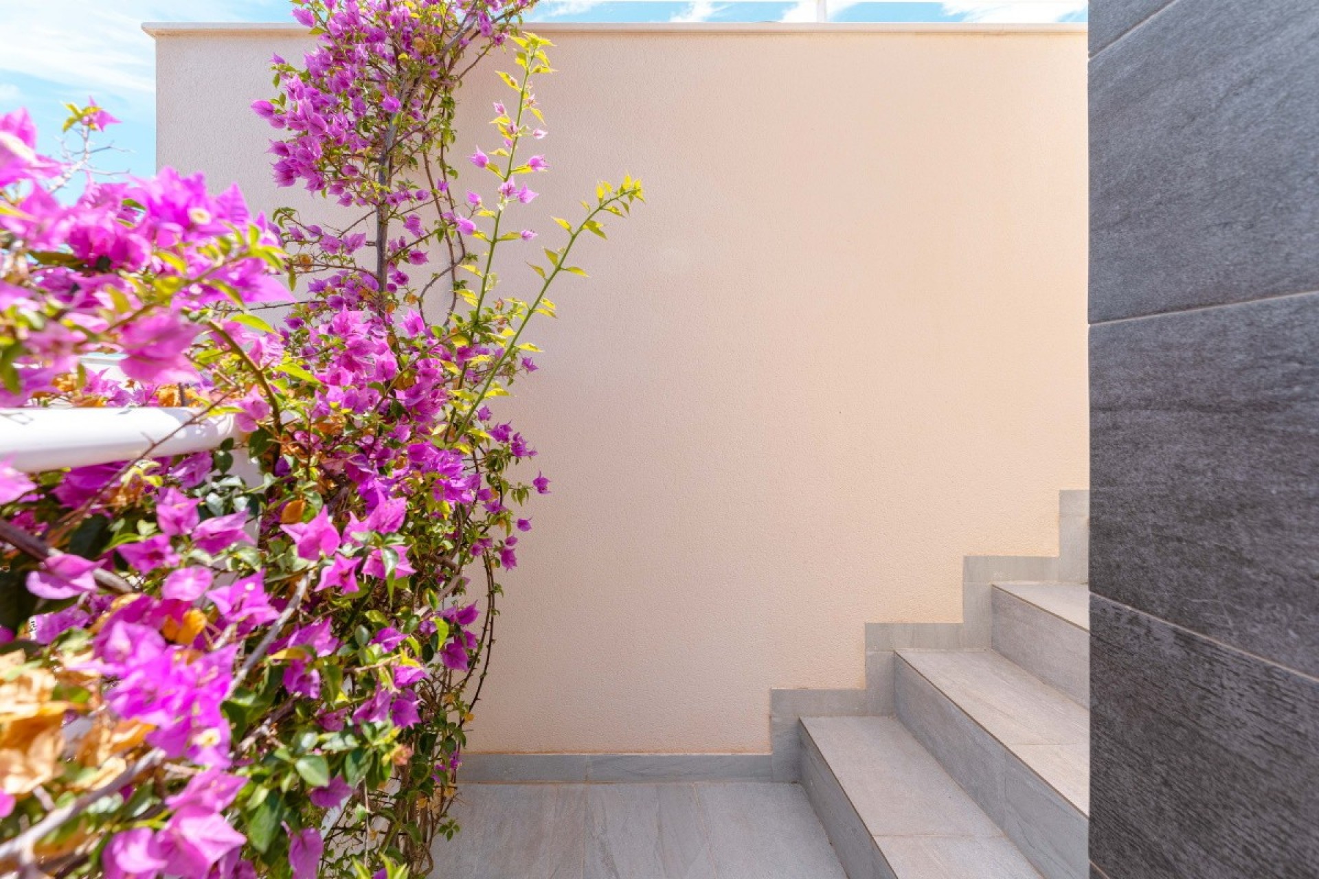 Resale - Villa -
San Miguel de Salinas