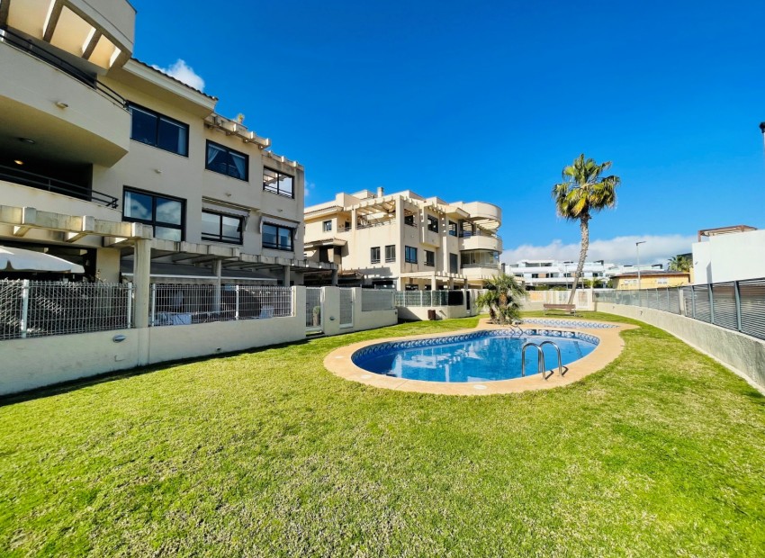 Reventa - Apartamento -
Albir