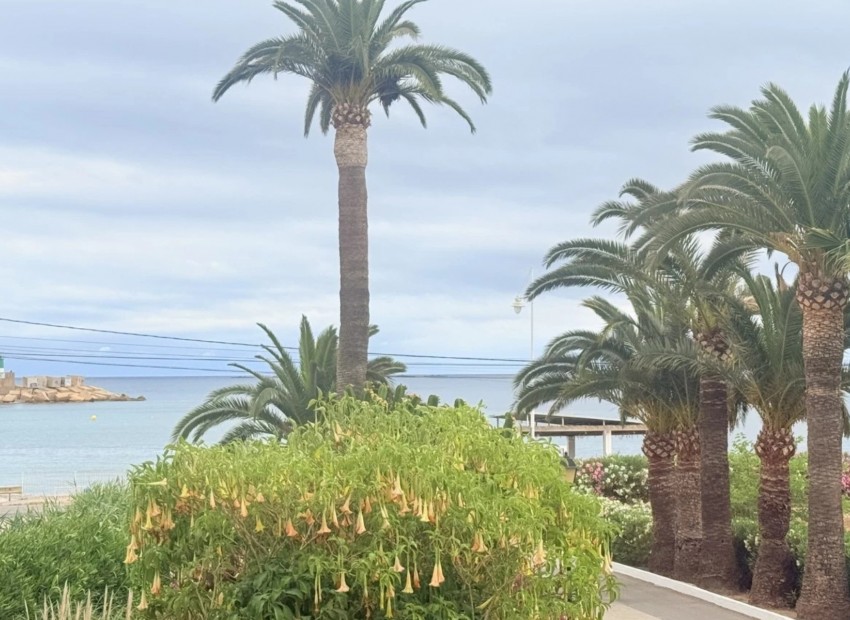Reventa - Apartamento -
Altea