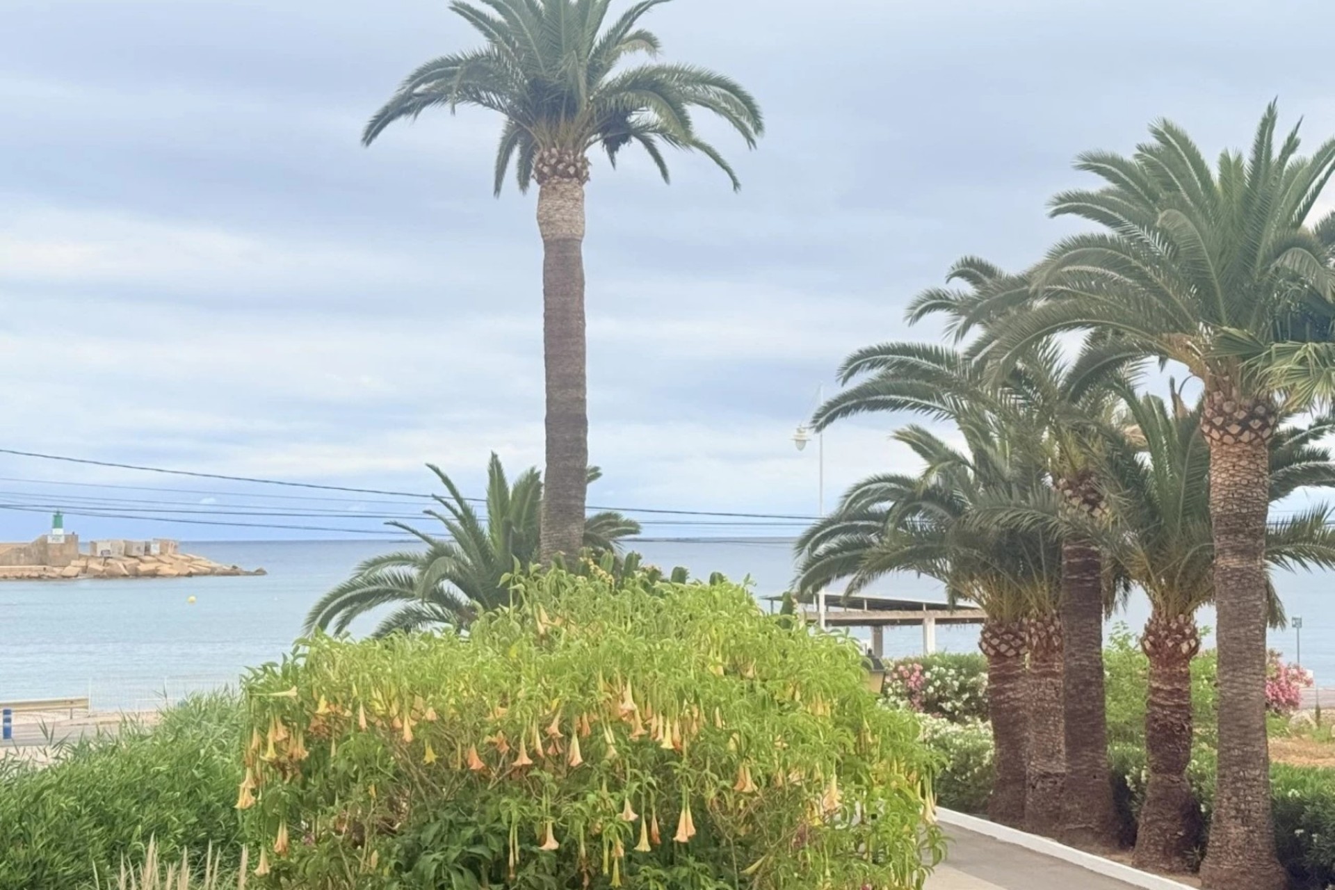 Reventa - Apartamento -
Altea