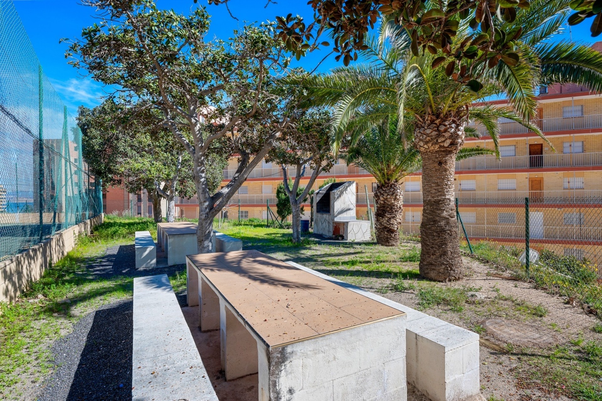 Reventa - Apartamento -
Arenales del Sol - Segunda linea playa