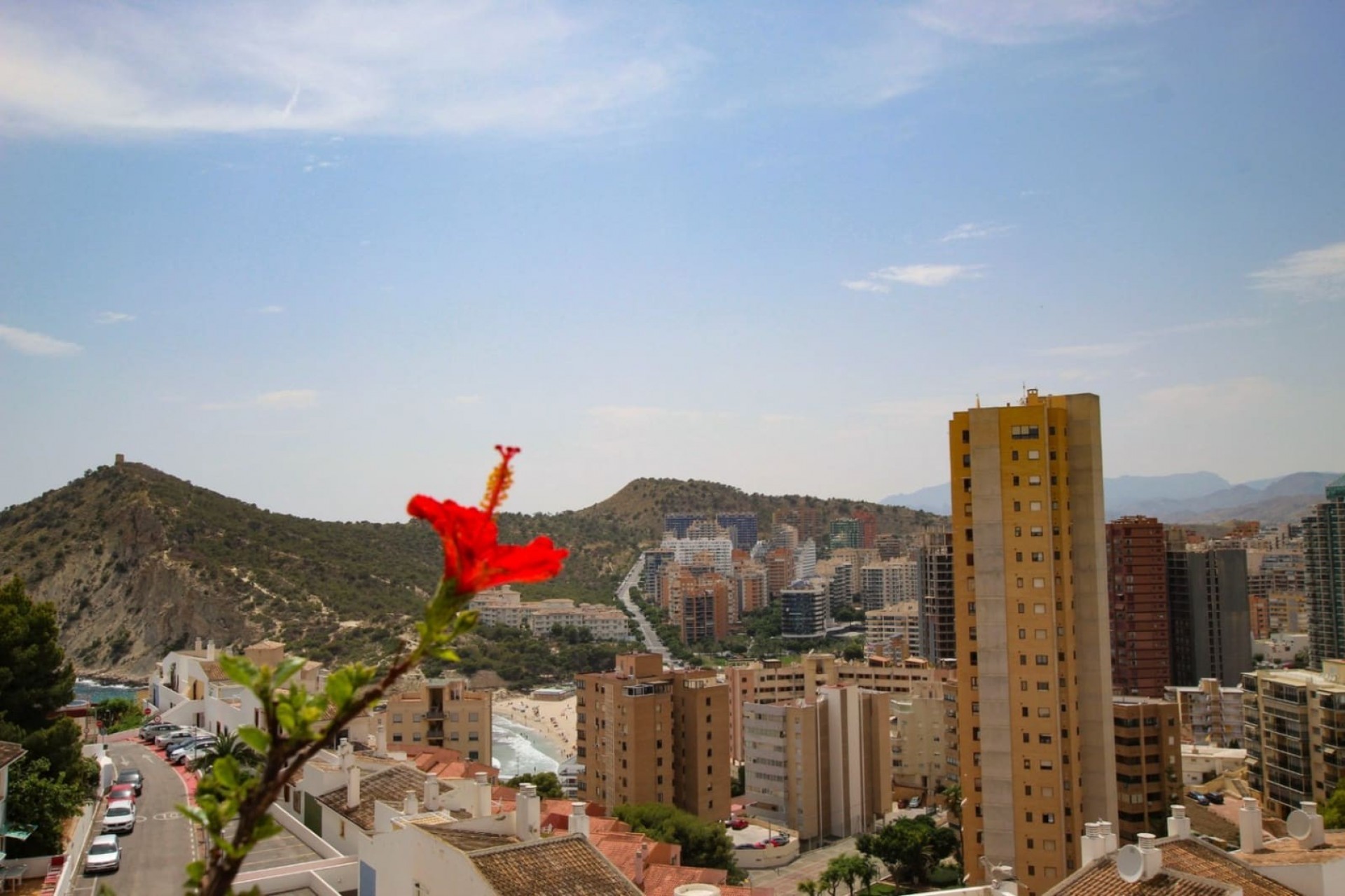 Reventa - Apartamento -
Benidorm