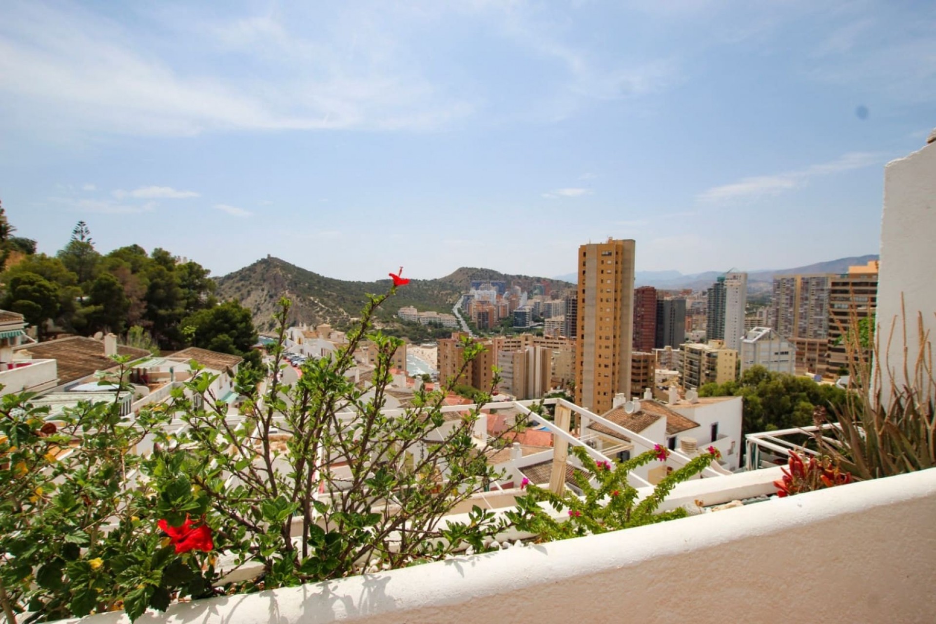 Reventa - Apartamento -
Benidorm