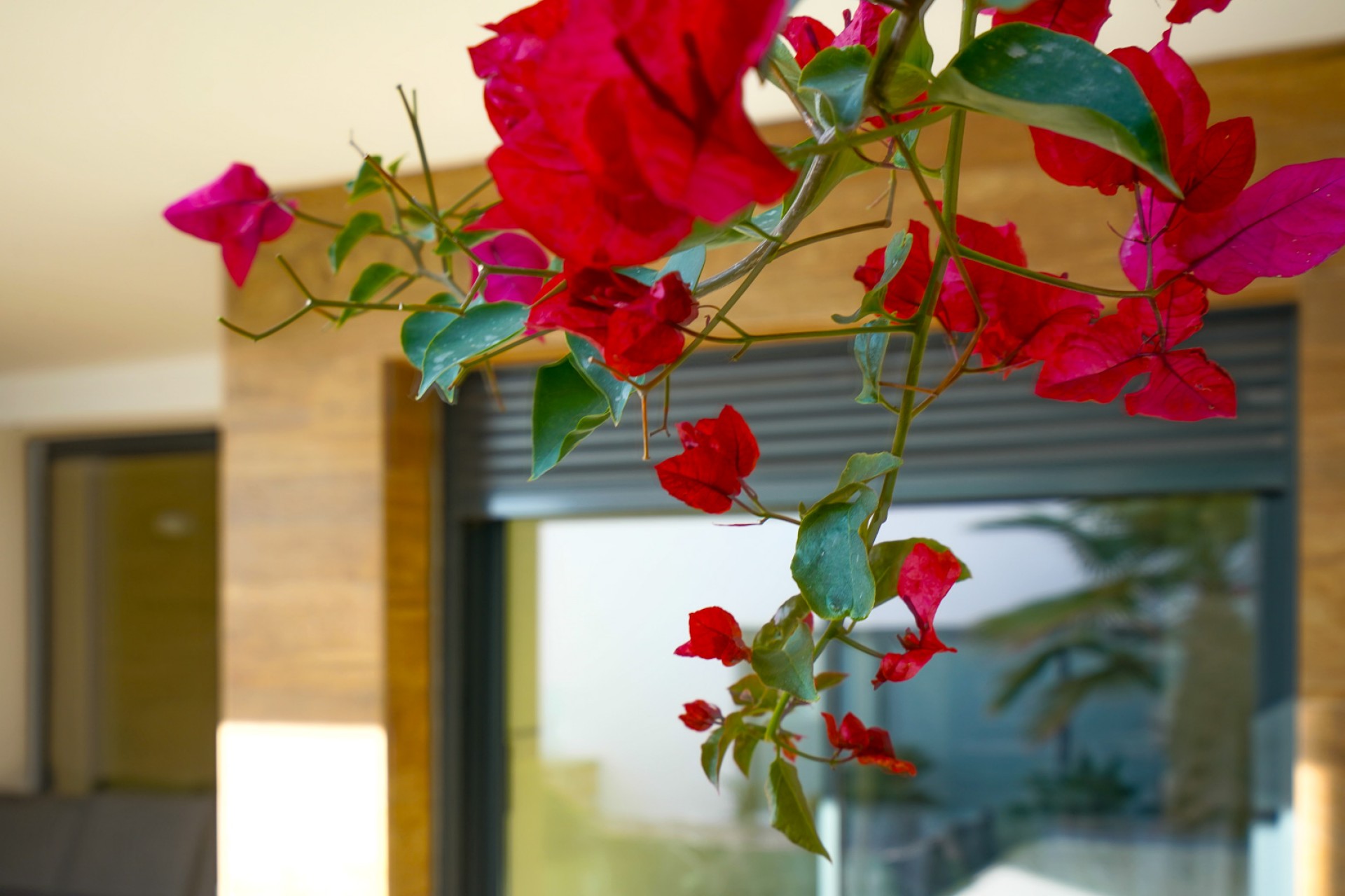 Reventa - Apartamento -
Benitachell - Cumbre del Sol