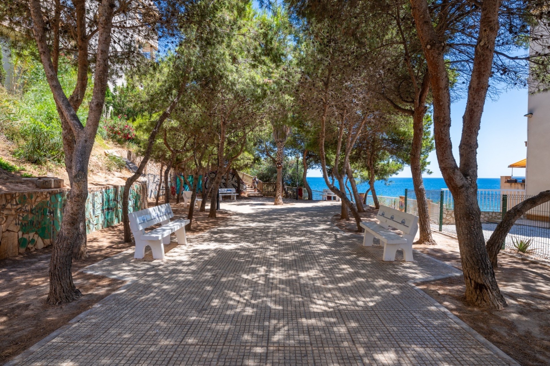 Reventa - Apartamento -
Cabo Roig