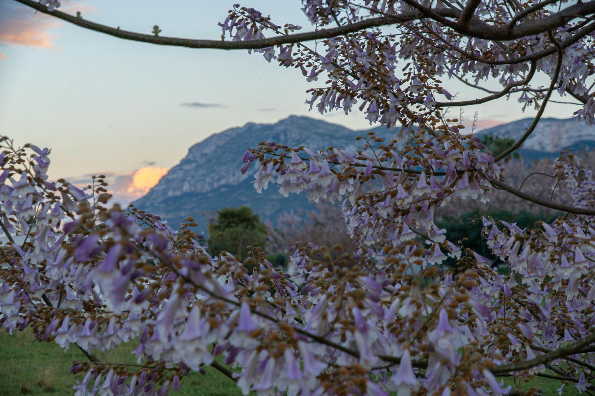 Reventa - Apartamento -
Denia - Els Molins