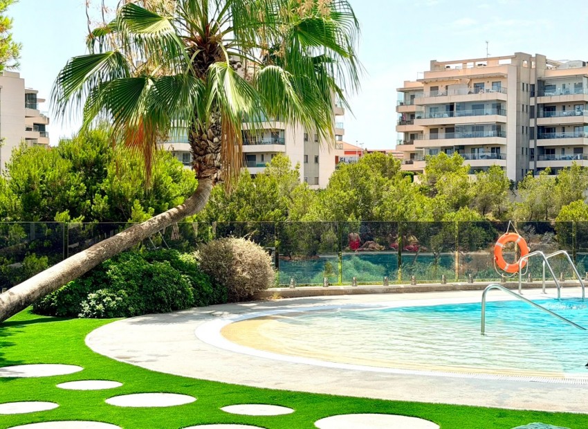 Reventa - Apartamento -
Orihuela Costa - La Zenia