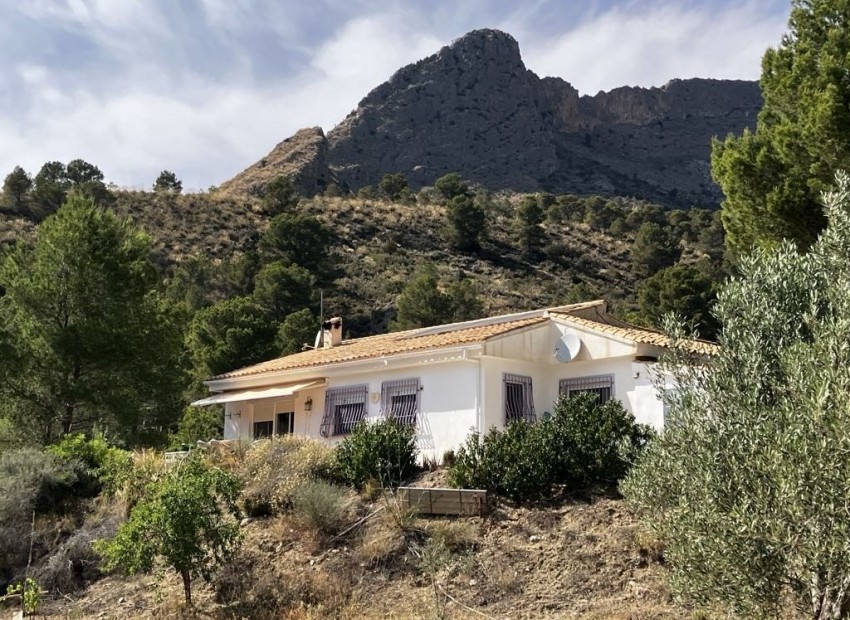 Reventa - Apartamento -
Orxeta - Orcheta