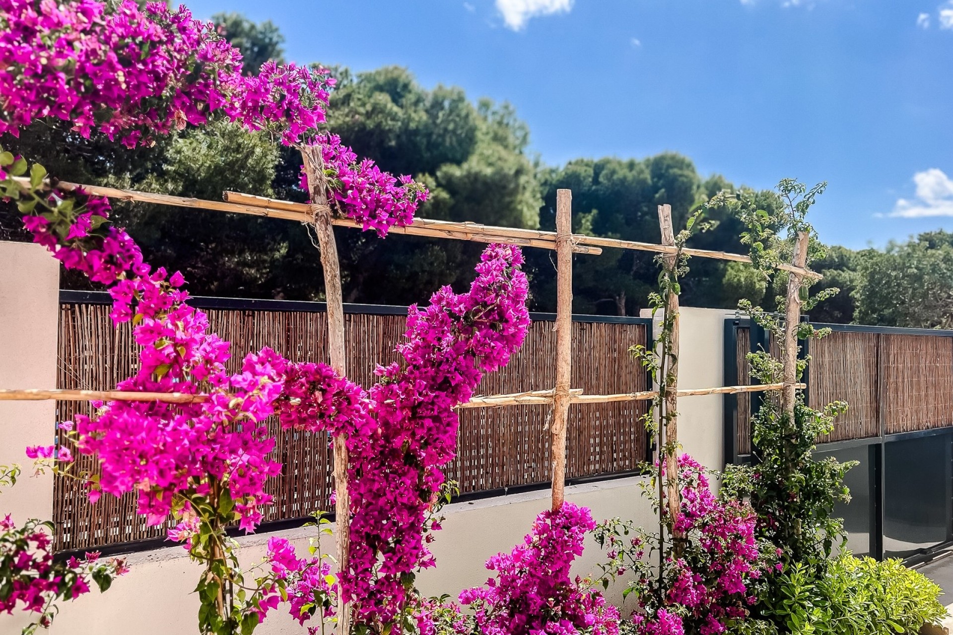 Reventa - Apartamento -
SANTIAGO DE LA RIBERA - zona san blas