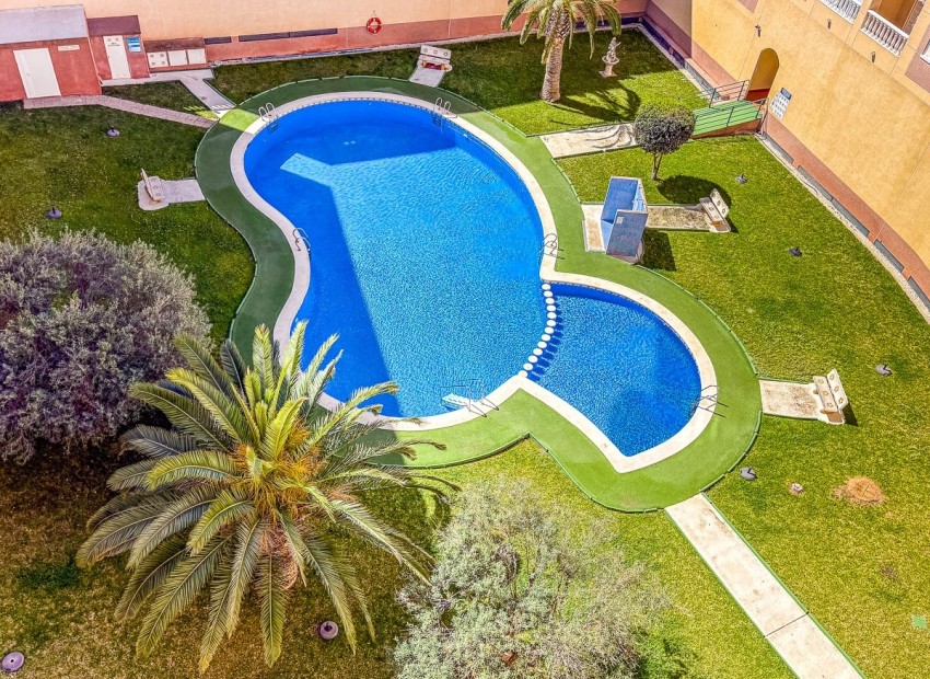 Reventa - Apartamento -
TORREVIEJA - Parque de las Naciones