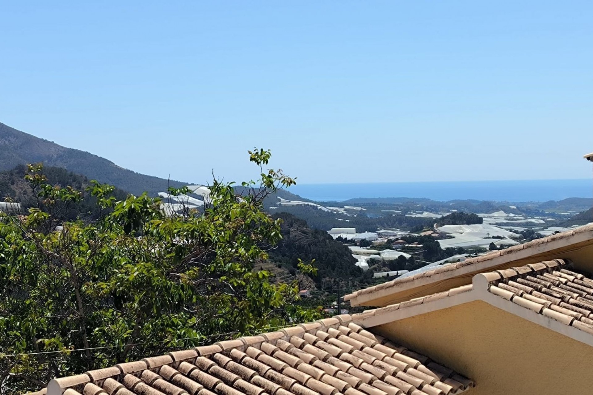 Reventa -  -
Callosa De Ensarrià