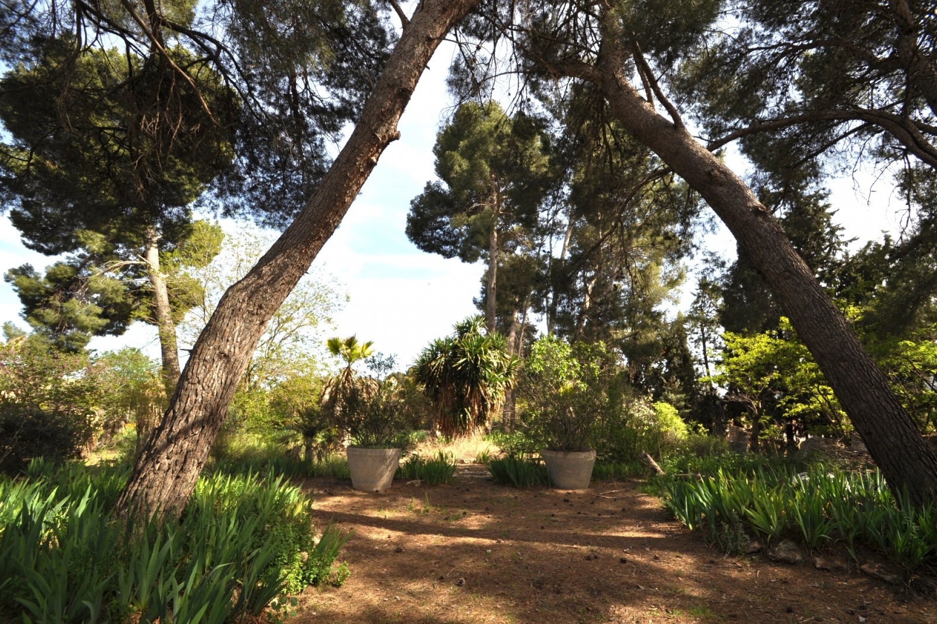 Reventa - Casa de campo -
Murcia