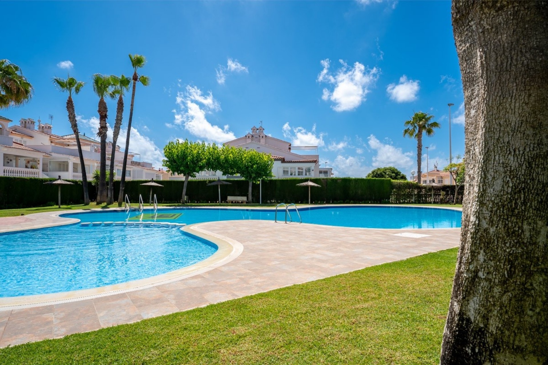 Reventa - Casa de campo -
Orihuela Costa - La Florida