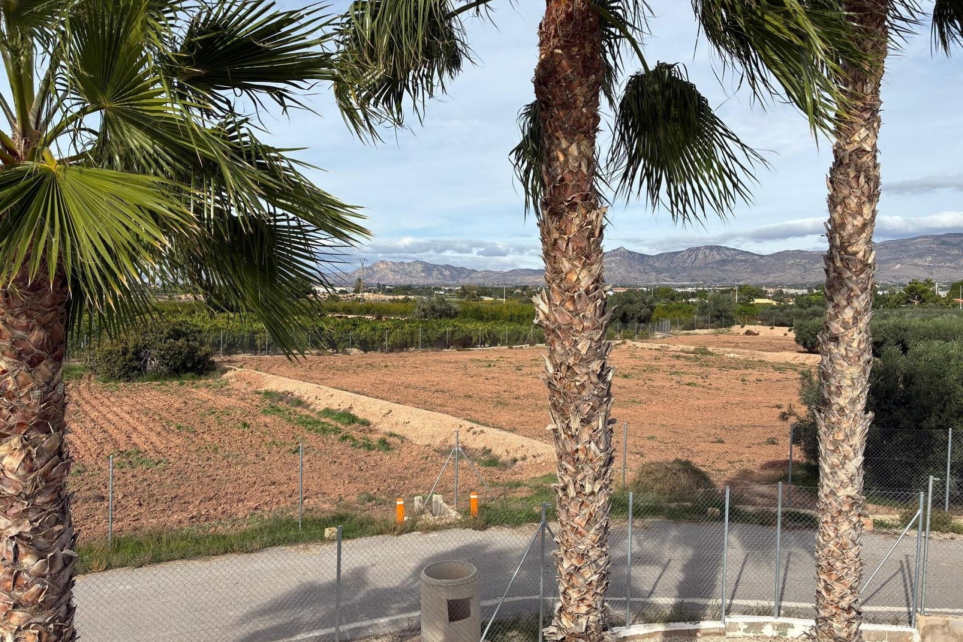 Reventa -  -
Crevillente