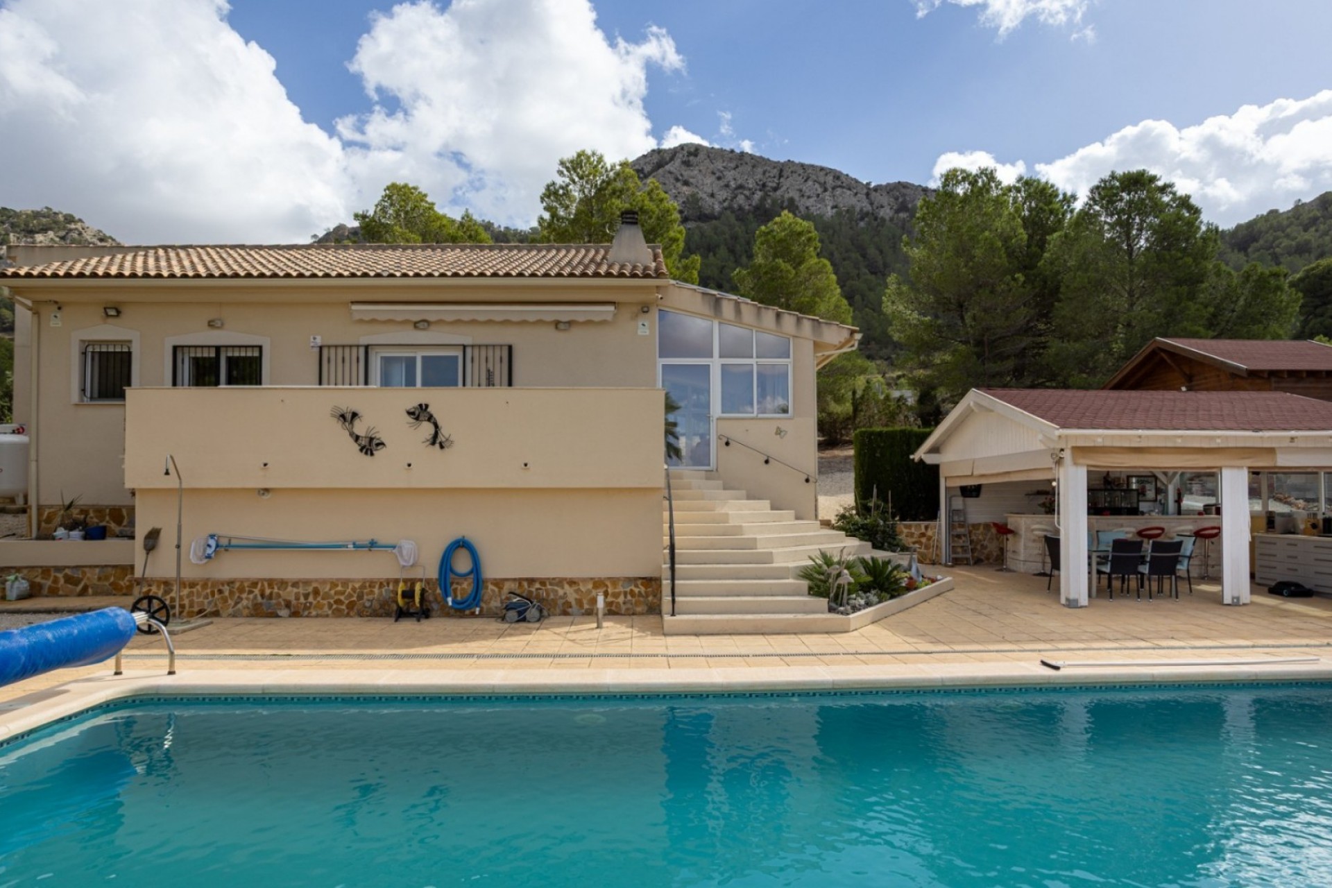 Reventa - Finca -
La Zarza