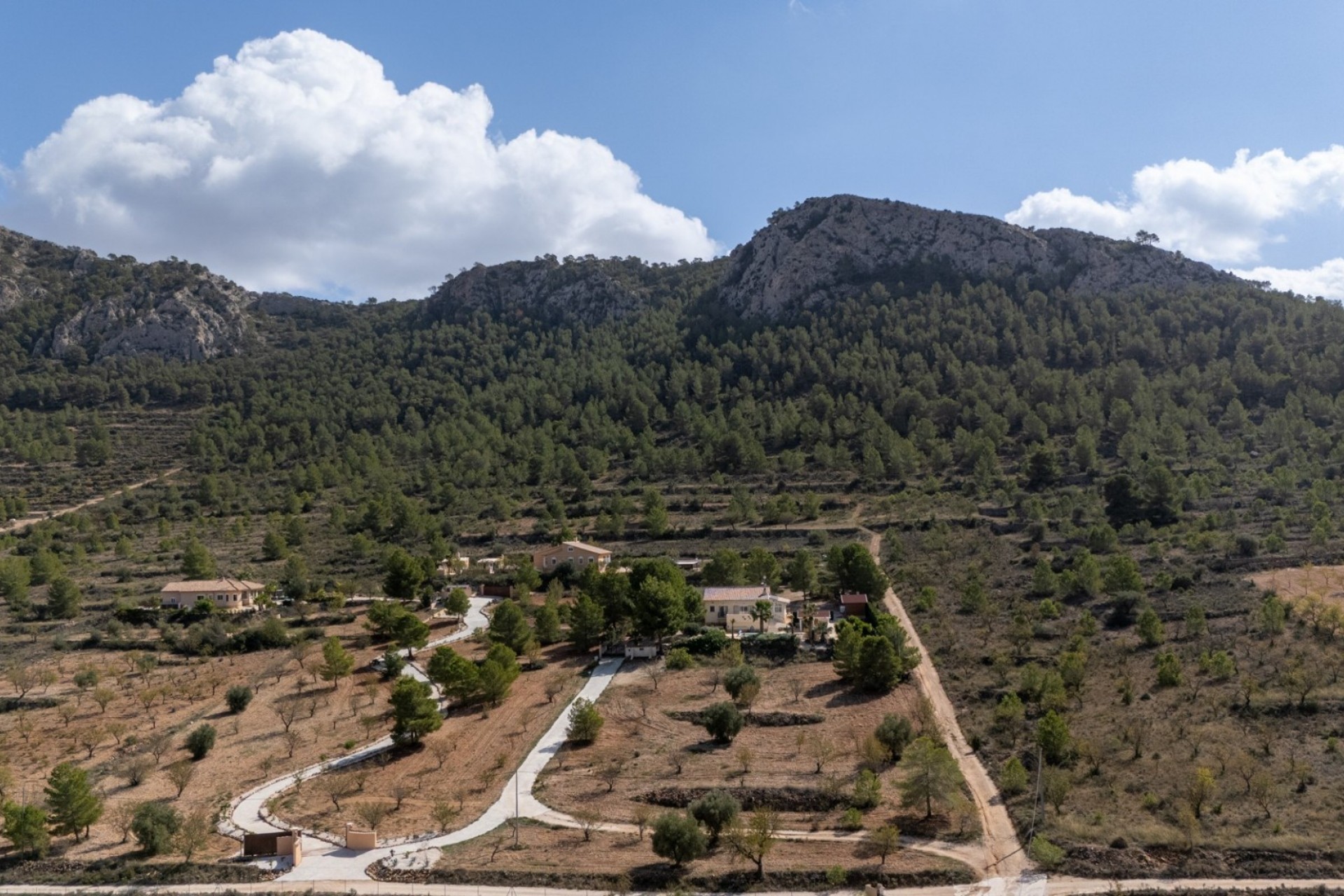 Reventa - Finca -
La Zarza