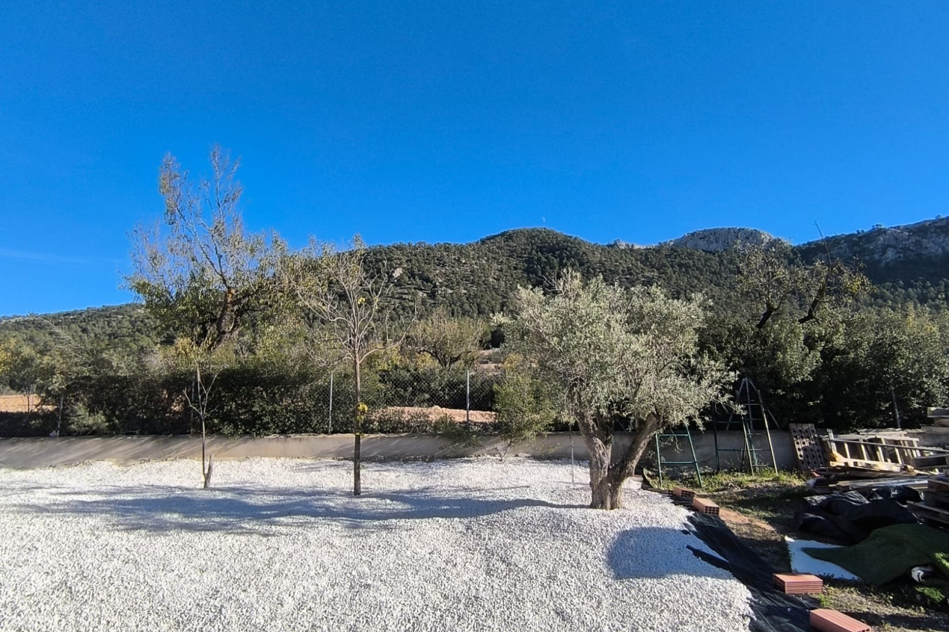 Reventa - Finca -
La Zarza