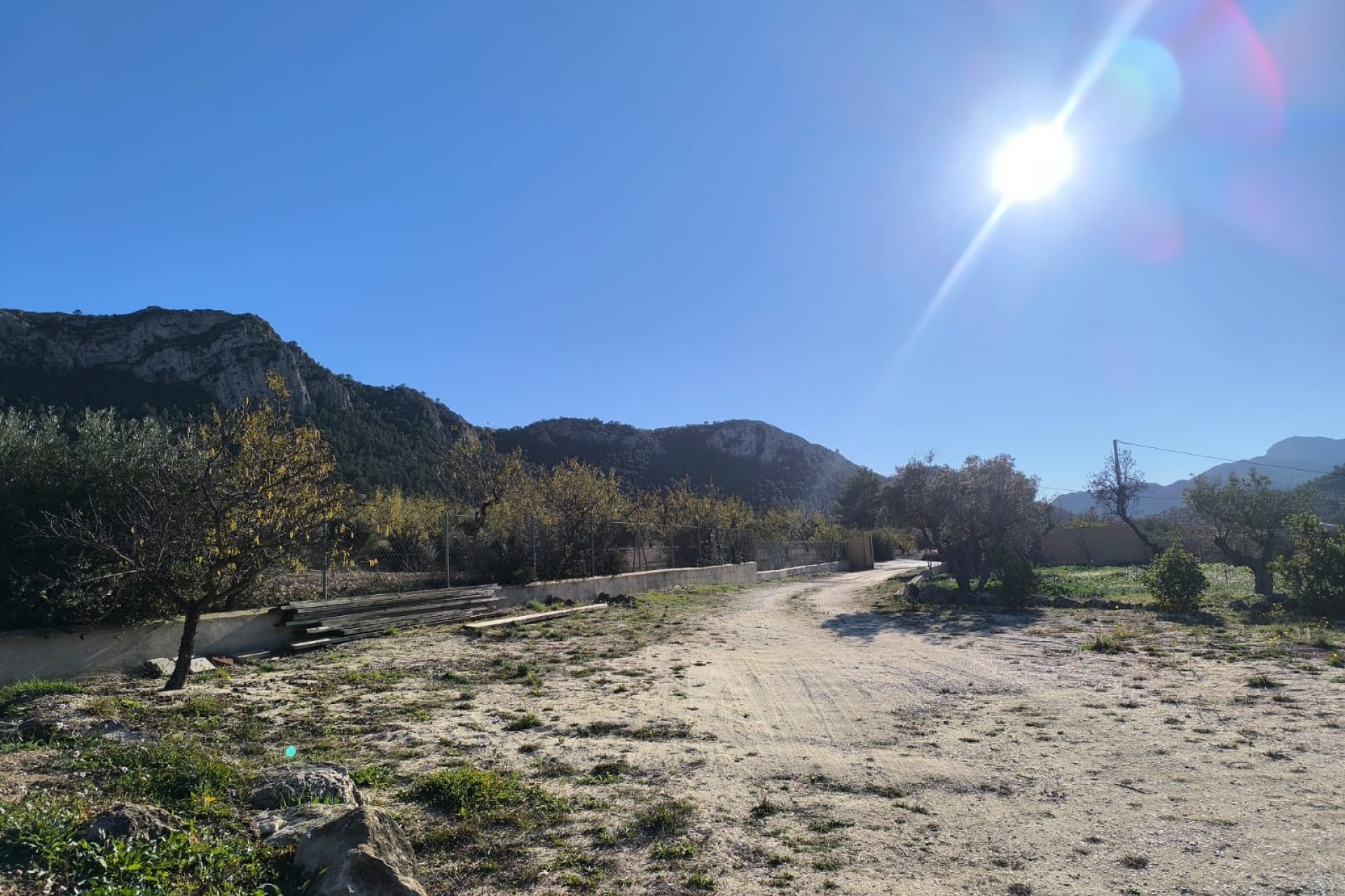 Reventa - Finca -
La Zarza