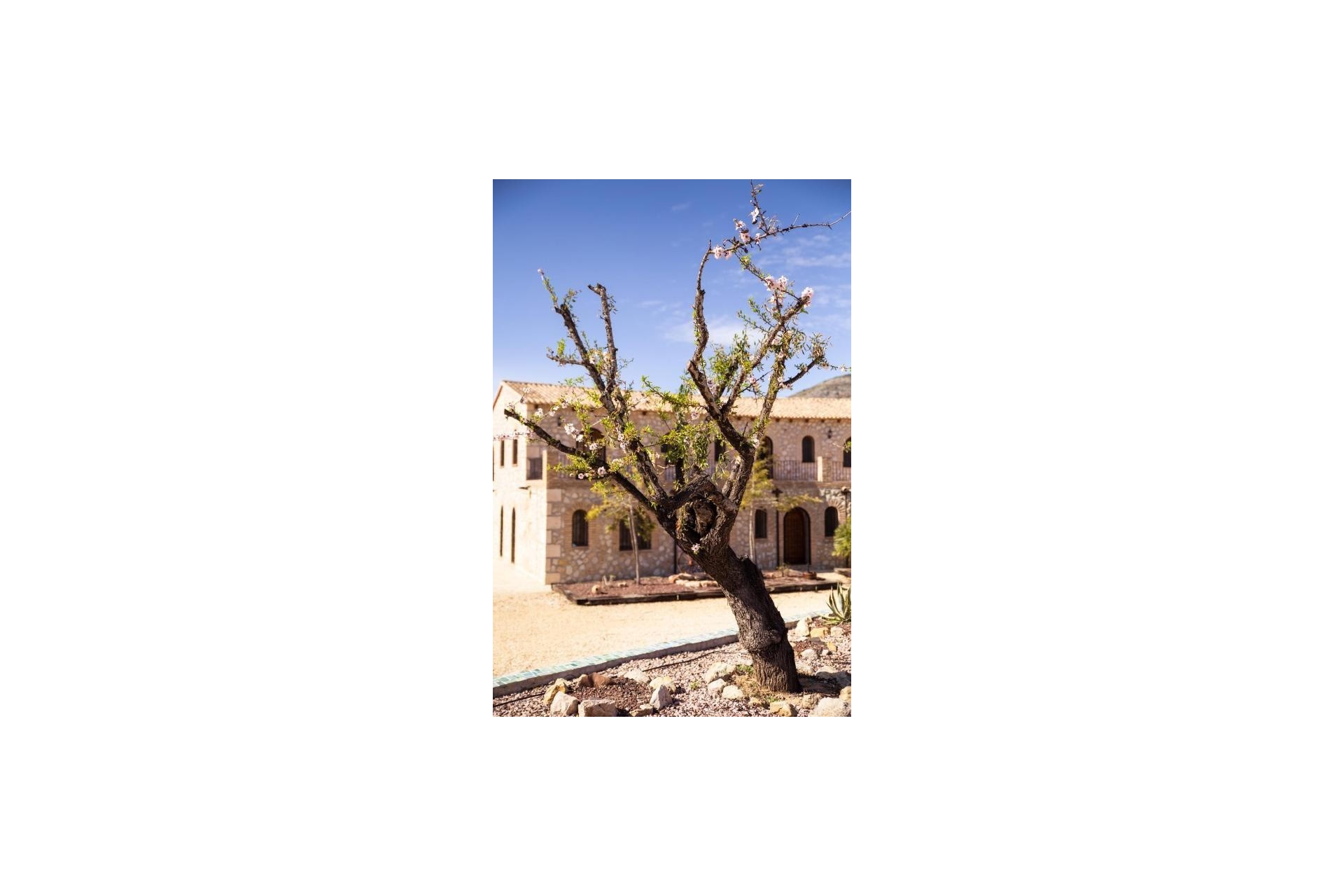 Reventa - Hotel -
Lliber