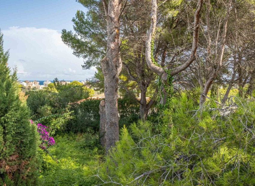Reventa -  -
Jávea - Adsubia