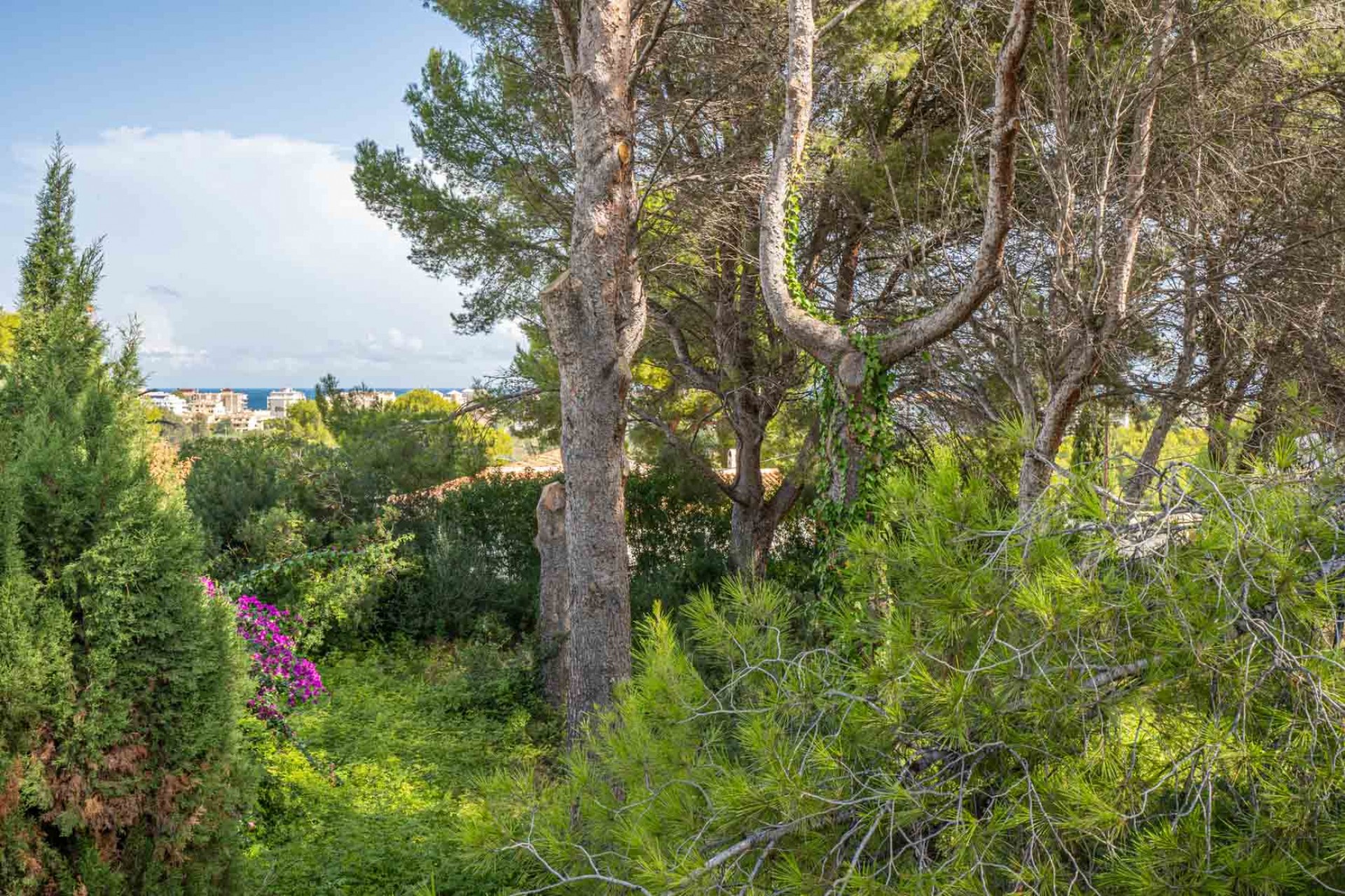 Reventa -  -
Jávea - Adsubia